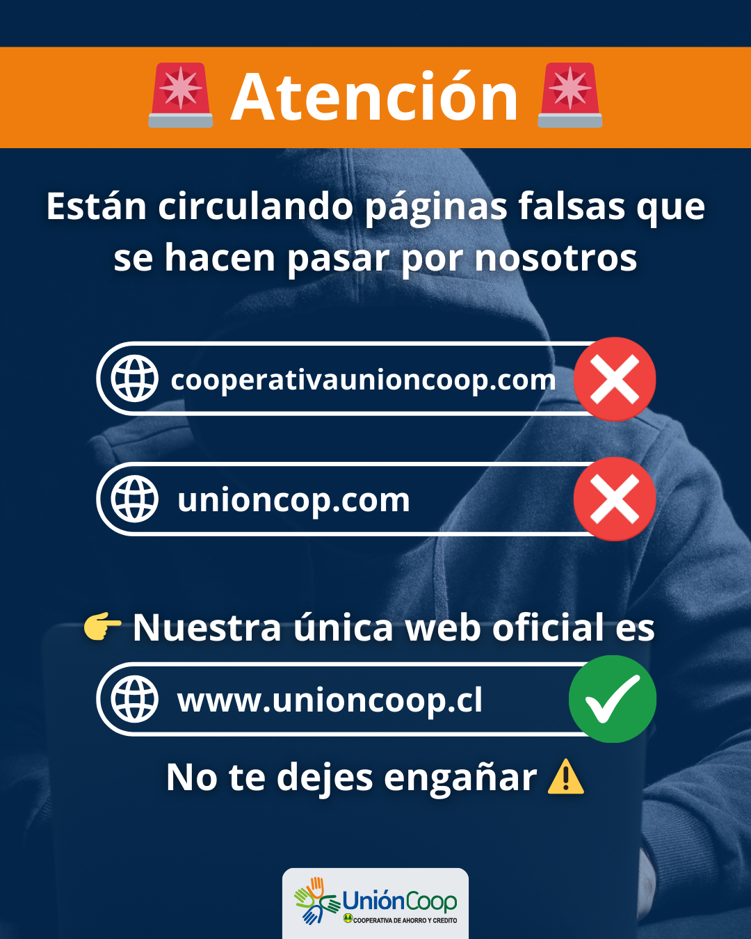 POP UP FEBRERO 2025